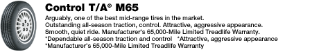 BFGoodrich Control T/A M65