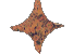 Pink Marble Spinning Star