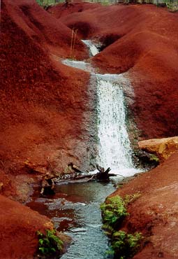 Desert Stream