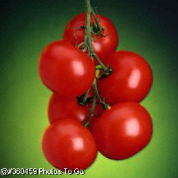 Tomatoes