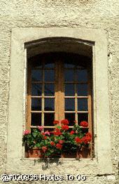 Window w/flowers