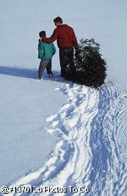 Father & son with freshly cut Christmas tree