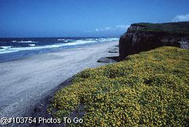 San Mateo, California