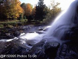 Bond Falls