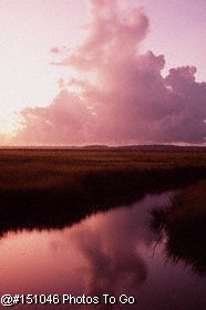 Near Ashepoo River