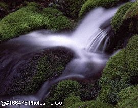 Stream & moss