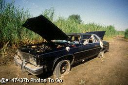 Abandoned cars