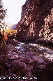 Stream, Shell Creek Canyon, WY