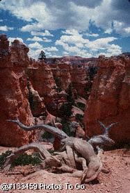 Bryce Canyon, UT