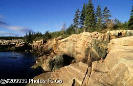 Loop Road, Acadia NP, ME