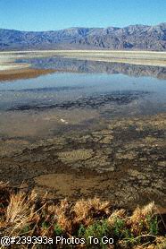 Water on salt flat