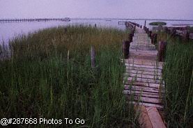 Shoreline & dock, Chicoteague Island, VA