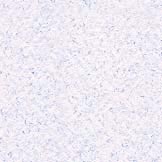 Paper 2