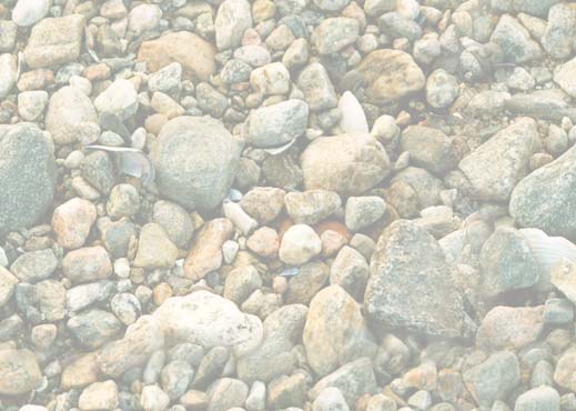 Washed River Stone