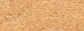 Maple 2