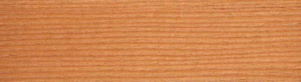 Douglas Fir