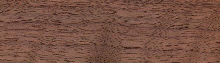 Walnut 2