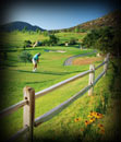 landscape-w-fence.jpg