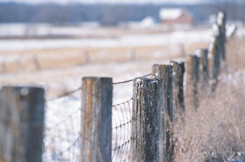 register.com/lib2/category1/agriculture0003.gif