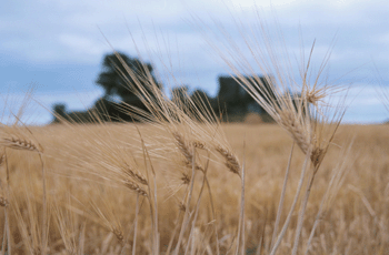 register.com/lib2/category1/agriculture0010.gif