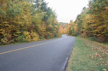 register.com/lib2/category1/autumn0011.gif