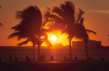 register.com/lib2/category1/beach0002.gif