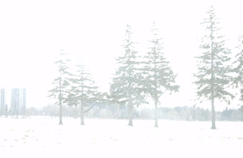register.com/lib2/category1/field0001.gif