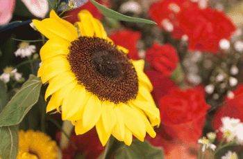 register.com/lib2/category14/bouquet0003.gif