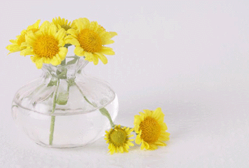 register.com/lib2/category14/bouquet0010.gif
