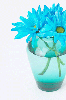register.com/lib2/category14/bouquet0012.gif
