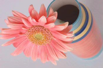 register.com/lib2/category14/center0005.gif