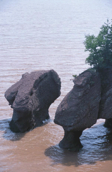 register.com/lib2/category20/arch0003.gif