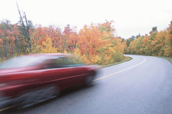 register.com/lib2/category20/auto0005.gif