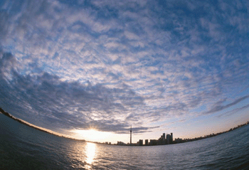 register.com/lib2/category22/CN0002.gif