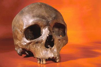 register.com/lib2/category4/anatomy0001.gif