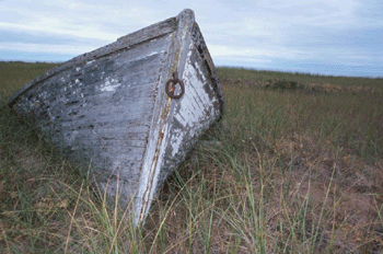 register.com/lib2/category4/antique0059.gif