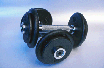 register.com/lib2/category4/barbell0001.gif