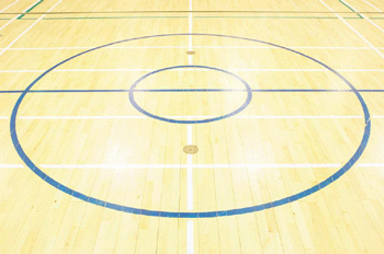 register.com/lib2/category4/blue0040.gif