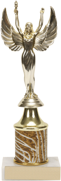 register.com/lib2/category6/trophy0002.gif