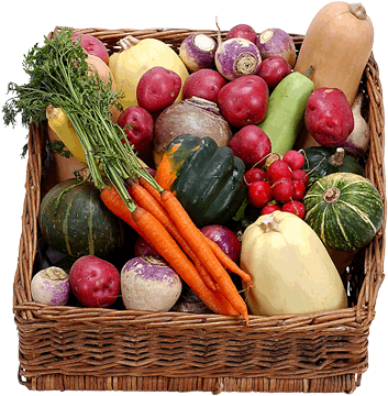 register.com/lib2/category8/basket0018.gif