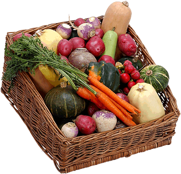 register.com/lib2/category8/basket0019.gif