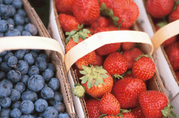 register.com/lib2/category8/basket0094.gif