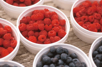 register.com/lib2/category8/berries0001.gif
