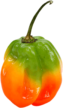 register.com/lib2/category8/chilepepper0001.gif