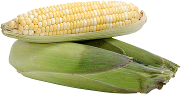 register.com/lib2/category8/corn0007.gif