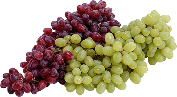 register.com/lib2/category8/grapes0003.gif