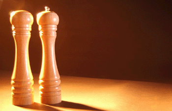 register.com/lib2/category8/salt0005.gif