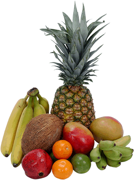register.com/lib2/category8/tropical0001.gif