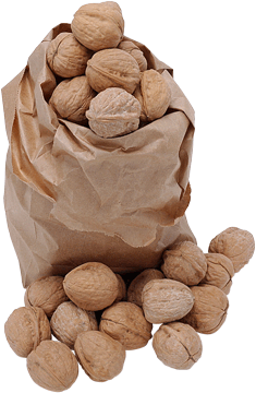 register.com/lib2/category8/walnuts0007.gif