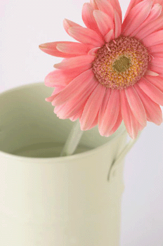 register.com/lib2/category9/bucket0011.gif